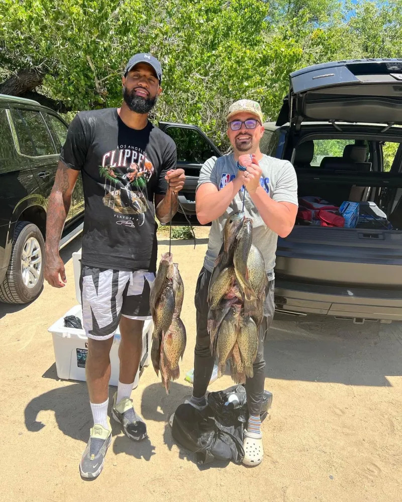 典型代表 典型代表